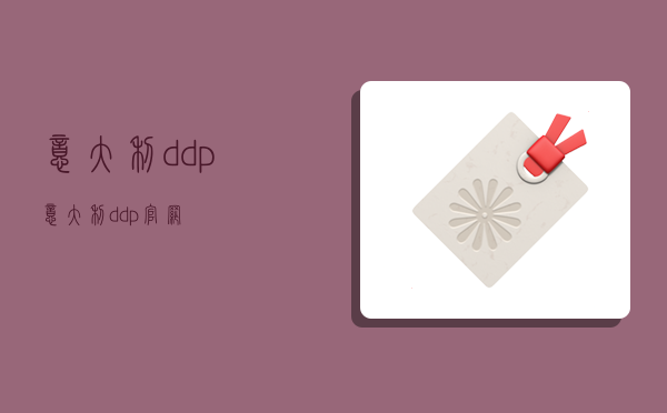 意大利ddp,意大利ddp官网-图1