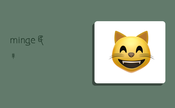 minge,民革-图1 minge,民革-图1