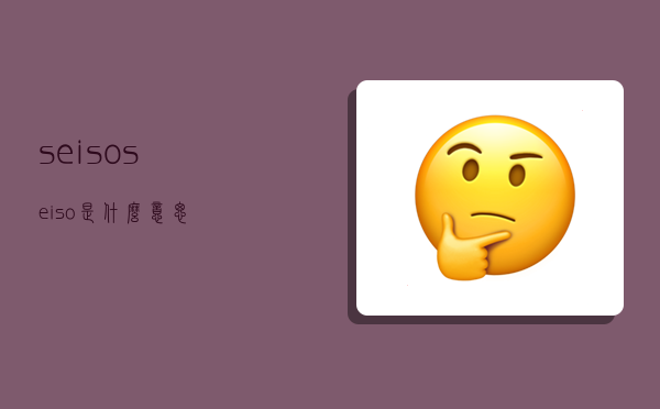 seiso,seiso是什么意思-图1