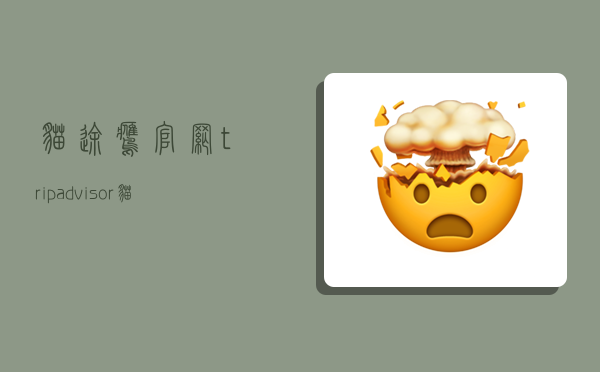 猫途鹰官网,tripadvisor猫途鹰官网-图1