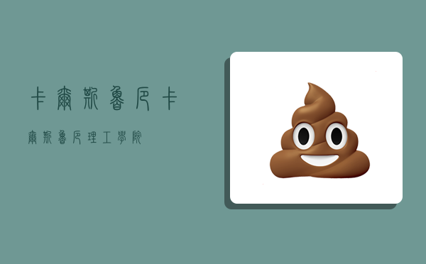 卡尔斯鲁厄,卡尔斯鲁厄理工学院-图1