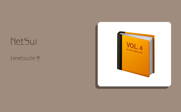 NetSuite,netsuite中文官网-图1 NetSuite,netsuite中文官网-图1