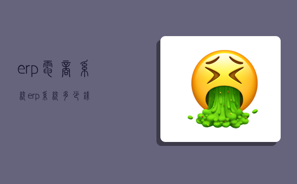 erp电商系统,erp系统多少钱-图1 erp电商系统,erp系统多少钱-图1