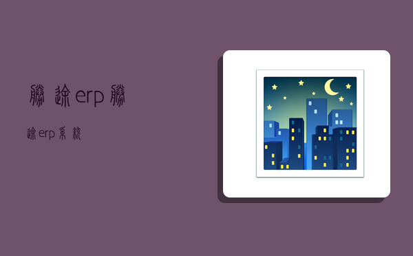 胜途erp,胜途erp系统-图1