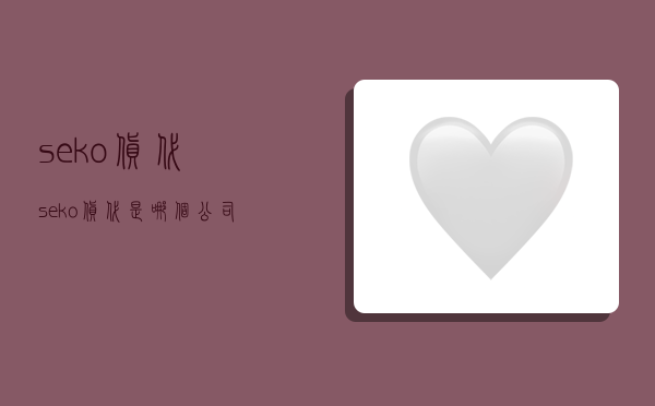 seko货代,seko货代是哪个公司-图1