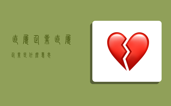 直属企业,直属企业是什么意思-图1 直属企业,直属企业是什么意思-图1