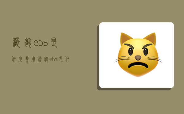 海运ebs是什么费用,海运ebs是什么费用谁承担-图1 海运ebs是什么费用,海运ebs是什么费用谁承担-图1