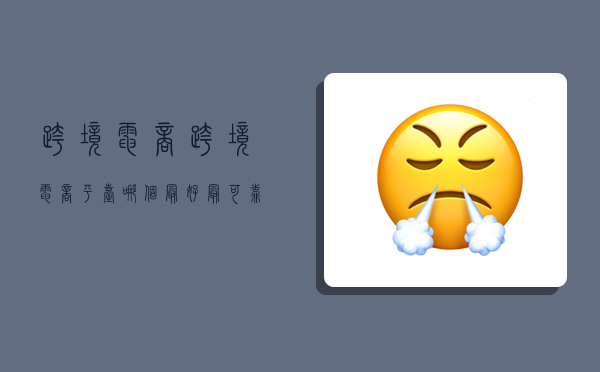 跨境电商,跨境电商平台哪个最好最可靠-图1 跨境电商,跨境电商平台哪个最好最可靠-图1