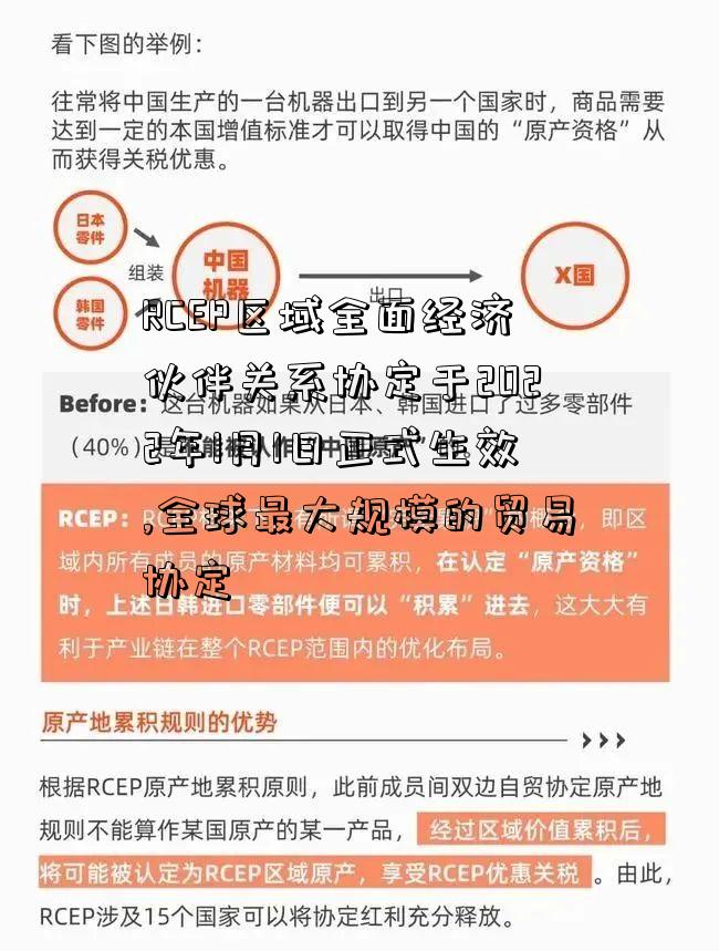 RCEP区域全面经济伙伴关系协定于2022年1月1日正式生效,全球最大规模的贸易协定-图3