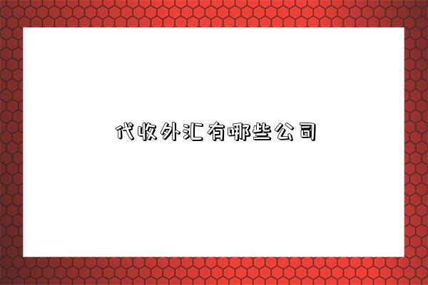 代收外汇有哪些公司-图1