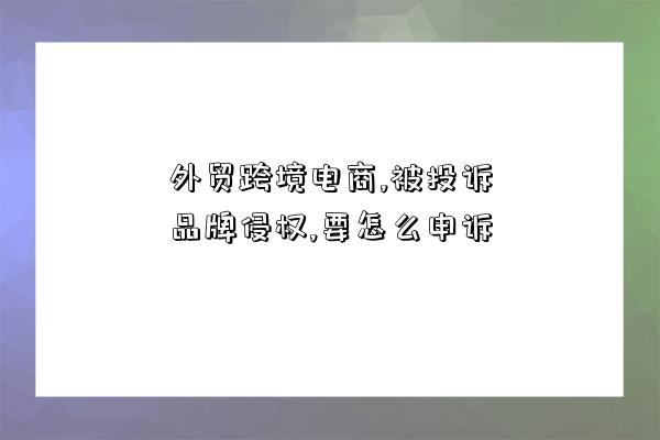 外贸跨境电商,被投诉品牌侵权,要怎么申诉-图1