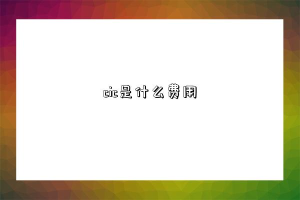 cic是什么费用-图1 cic是什么费用-图1