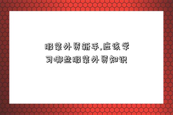 服装外贸新手,应该学习哪些服装外贸知识-图1