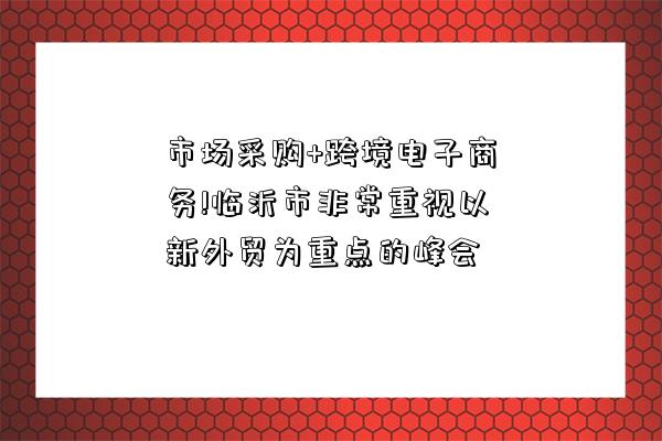 市场采购+跨境电子商务!临沂市非常重视以新外贸为重点的峰会-图1