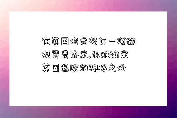 在英国考虑签订一项微观贸易协定,很难确定英国退欧的神秘之处-图1