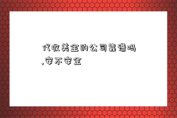 代收美金的公司靠谱吗,安不安全-图1 代收美金的公司靠谱吗,安不安全-图1