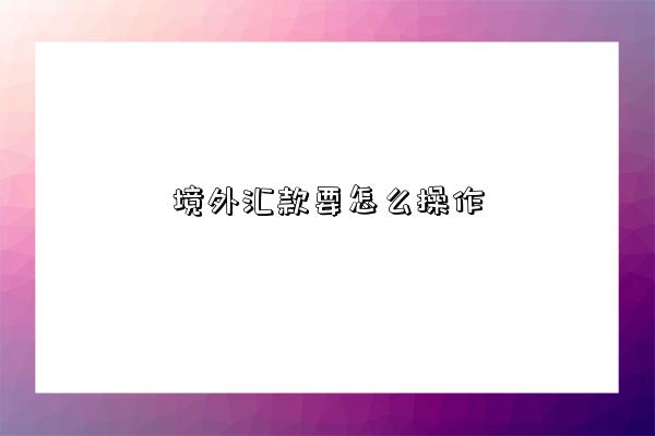 境外汇款要怎么操作-图1 境外汇款要怎么操作-图1