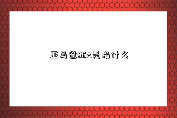 亚马逊SBA是指什么-图1 亚马逊SBA是指什么-图1