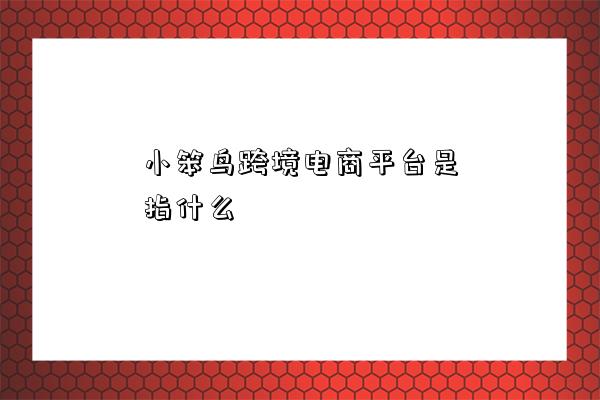 小笨鸟跨境电商平台是指什么-图1