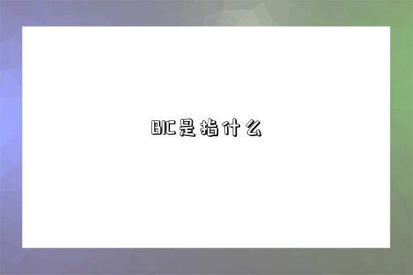 BIC是指什么-图1