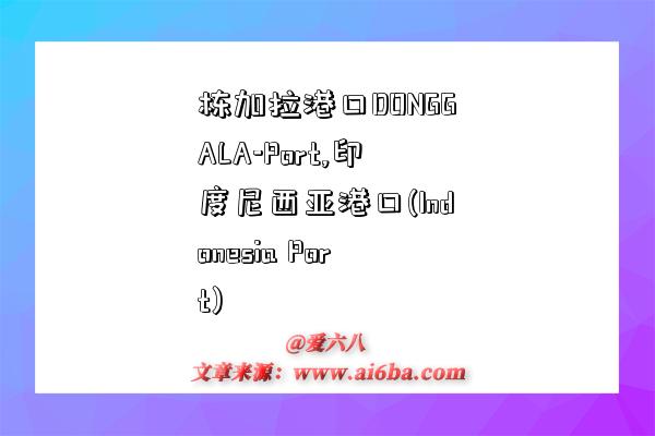 栋加拉港口DONGGALA-Port,印度尼西亚港口(Indonesia Port)-图1
