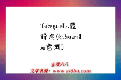 Tokopedia是什么(tokopedia官网)-图1