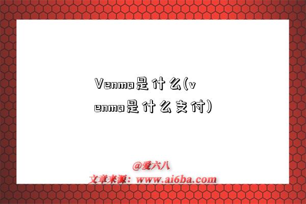 Venmo是什么(venmo是什么支付)-图1