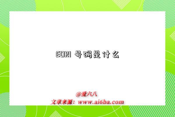 EORI 号码是什么-图1