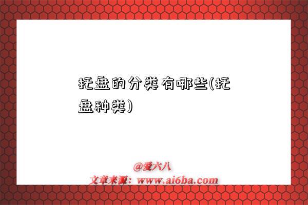 托盘的分类有哪些(托盘种类)-图1