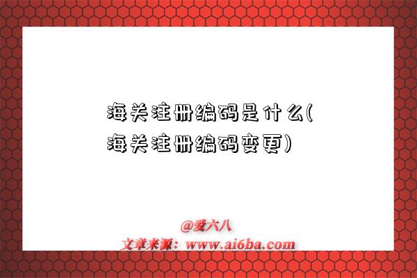 海关注册编码是什么(海关注册编码变更)-图1 海关注册编码是什么(海关注册编码变更)-图1