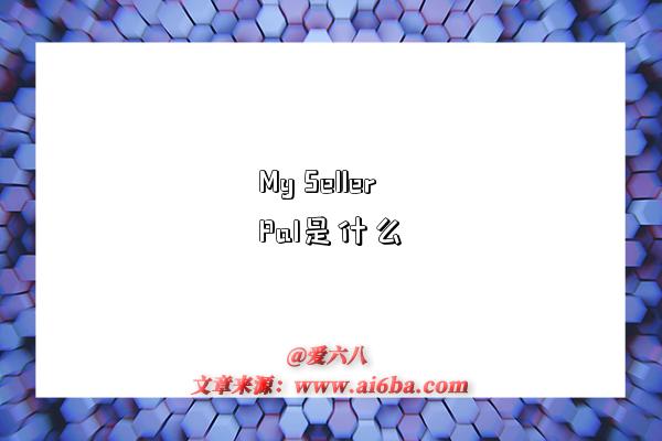 My Seller Pal是什么-图1 My Seller Pal是什么-图1