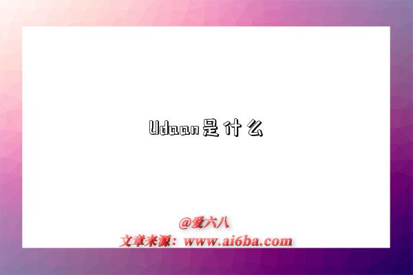 Udaan是什么-图1