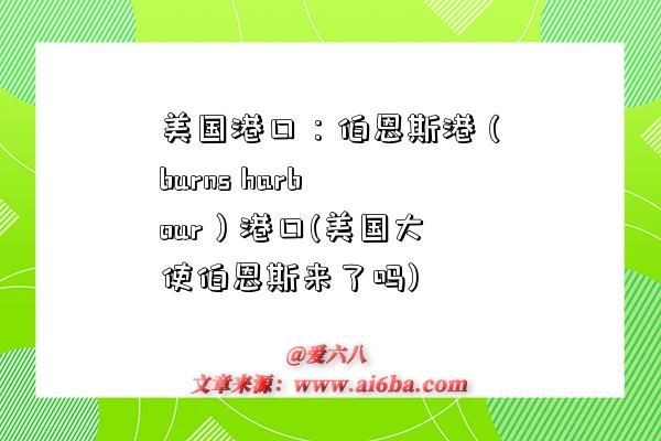 美国港口:伯恩斯港(burns harbour)港口(美国大使伯恩斯来了吗)-图1 美国港口:伯恩斯港(burns harbour)港口(美国大使伯恩斯来了吗)-图1