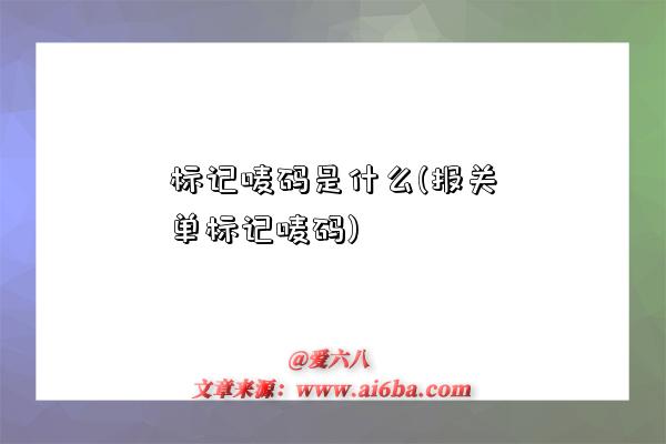 标记唛码是什么(报关单标记唛码)-图1 标记唛码是什么(报关单标记唛码)-图1