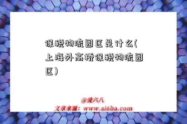 保税物流园区是什么(上海外高桥保税物流园区)-图1