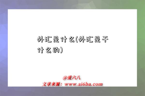 外汇是什么(外汇是干什么的)-图1 外汇是什么(外汇是干什么的)-图1