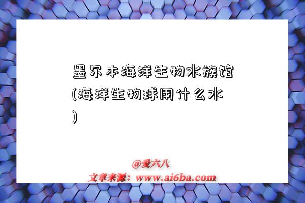 墨尔本海洋生物水族馆(海洋生物球用什么水)-图1