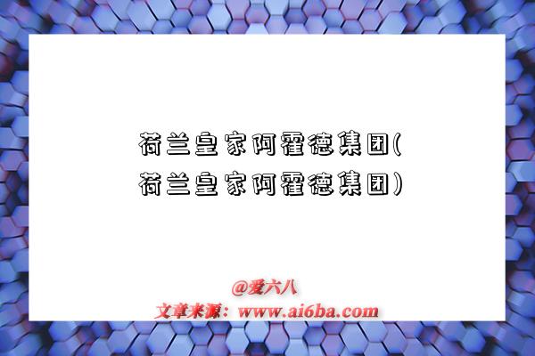 荷兰皇家阿霍德集团(荷兰皇家阿霍德集团)-图1 荷兰皇家阿霍德集团(荷兰皇家阿霍德集团)-图1