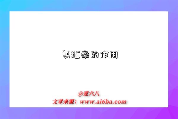 复汇率的作用-图1 复汇率的作用-图1