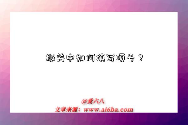 报关中如何填写项号?-图1 报关中如何填写项号?-图1