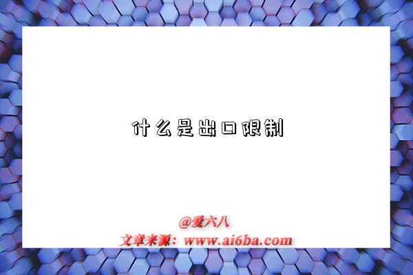 什么是出口限制-图1 什么是出口限制-图1