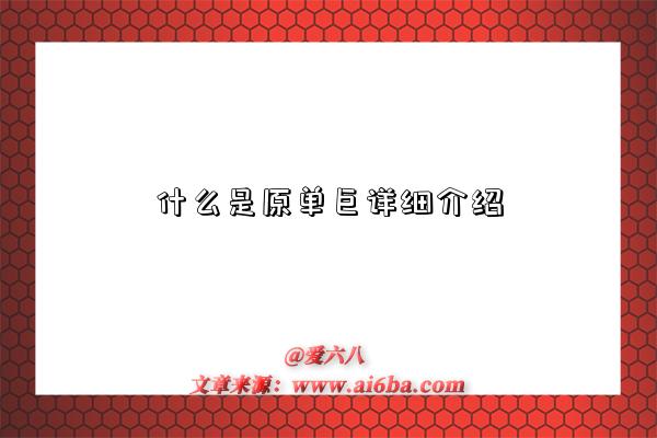 什么是原单巨详细介绍-图1 什么是原单巨详细介绍-图1