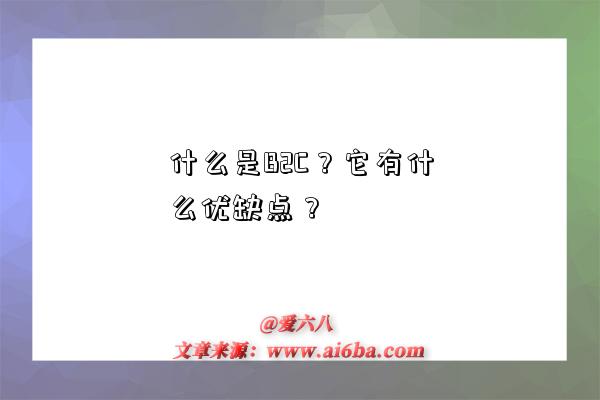 什么是B2C?它有什么优缺点?-图1 什么是B2C?它有什么优缺点?-图1