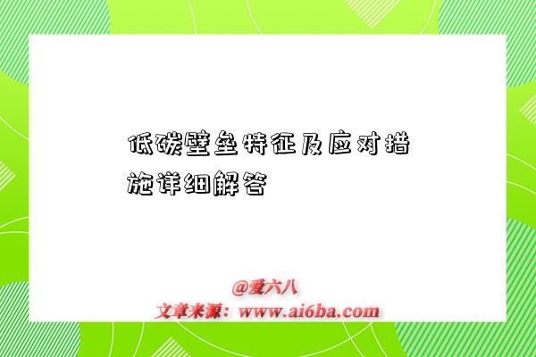低碳壁垒特征及应对措施详细解答-图1 低碳壁垒特征及应对措施详细解答-图1