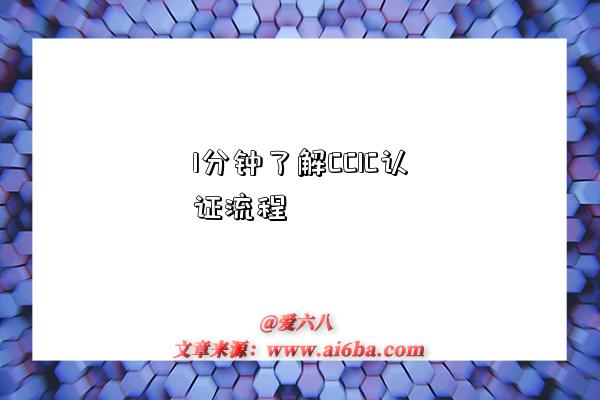 1分钟了解CCIC认证流程-图1 1分钟了解CCIC认证流程-图1