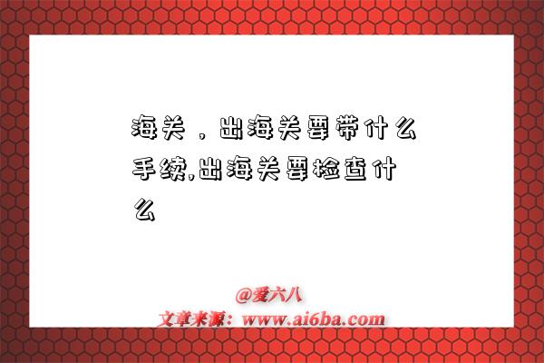 海关,出海关要带什么手续,出海关要检查什么-图1 海关,出海关要带什么手续,出海关要检查什么-图1