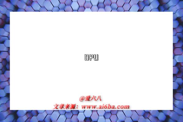 DPU-图1 DPU-图1