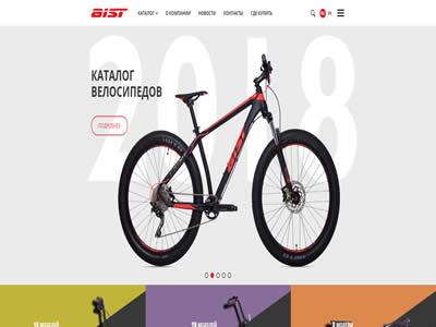 AistBicycles-图2