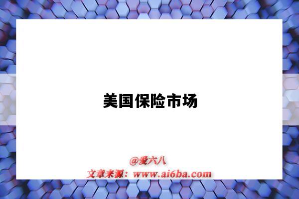 美国保险市场-图1 美国保险市场-图1