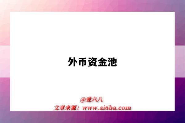 外币资金池-图1 外币资金池-图1
